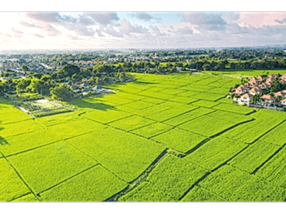 Arsa Projelendirilmesi Nasıl Yapılır?