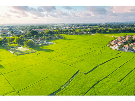 Arsa Projelendirilmesi Nasıl Yapılır?